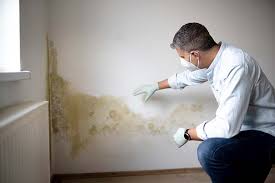 Best Mold Prevention Services  in Bedford, IA